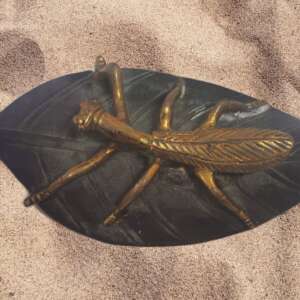 Tantric Brass Copper Fengshui Mantis Statue on the Leaf Metal Home Decor